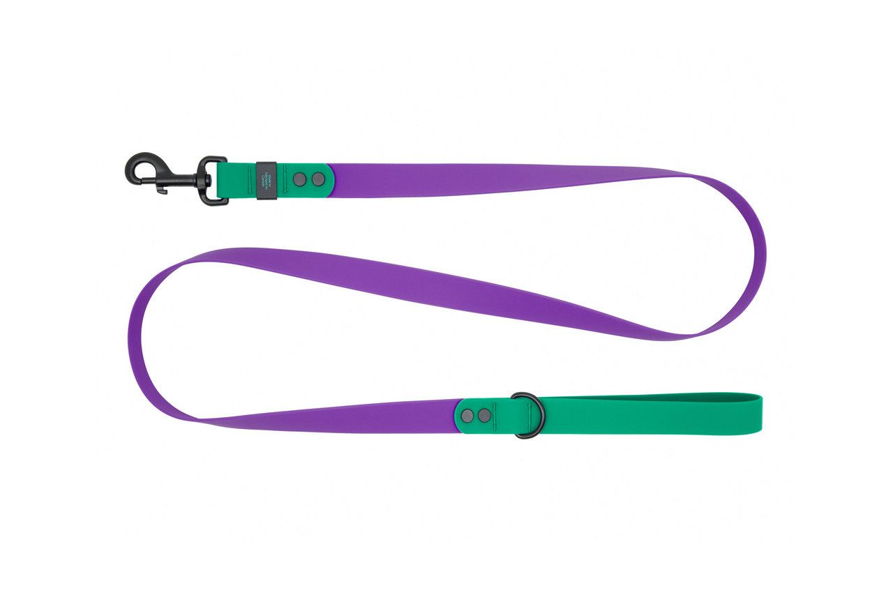 RC Pets - Waterproof Leash Purple/Parakeet 3/4"x5'