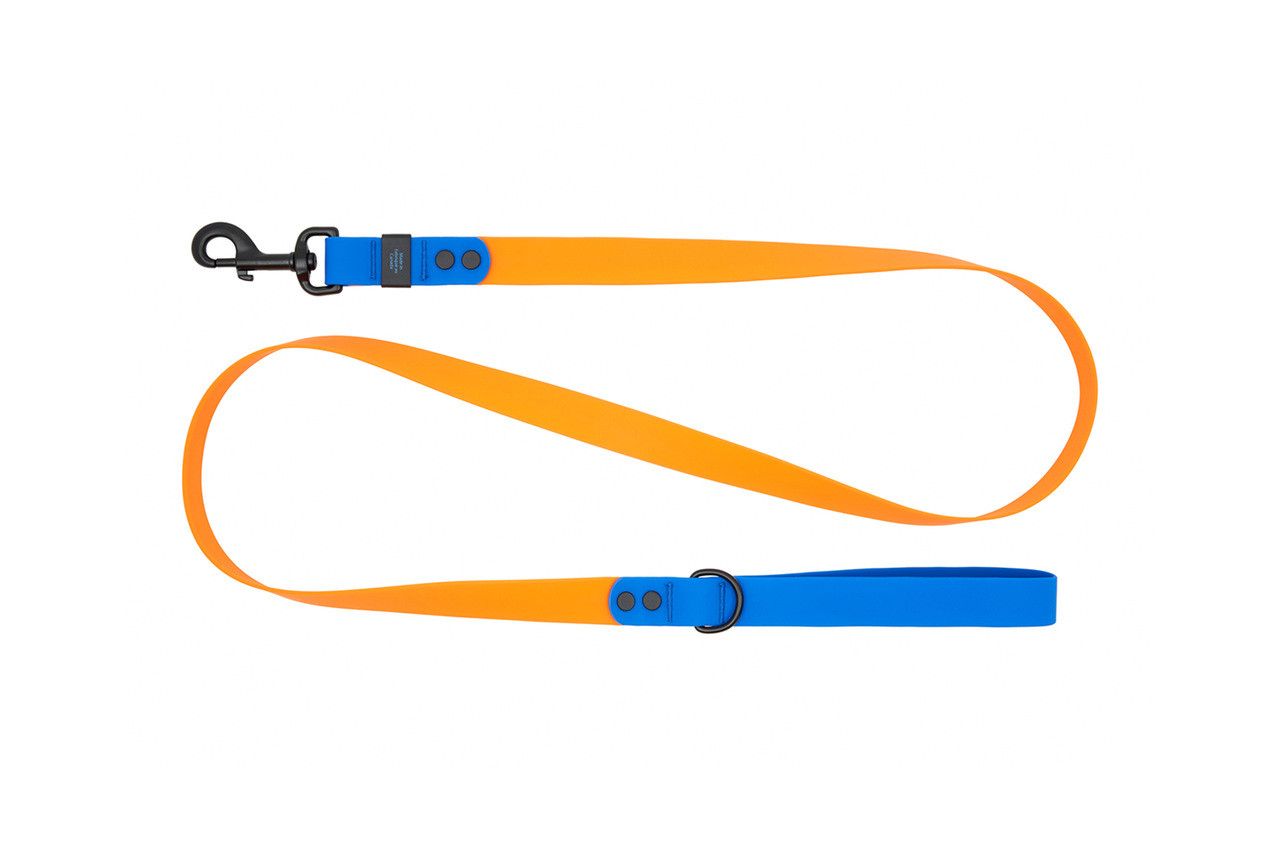 RC Pets - WP Leash Orange/Sapphire 3/4"x5'