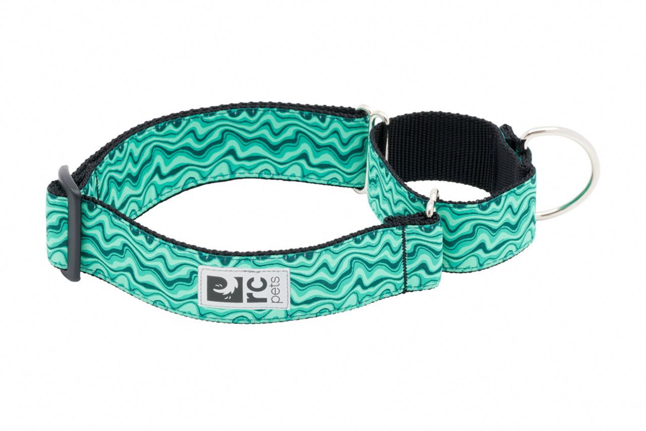 RC Pets - All Webbing training Collar Gemstone