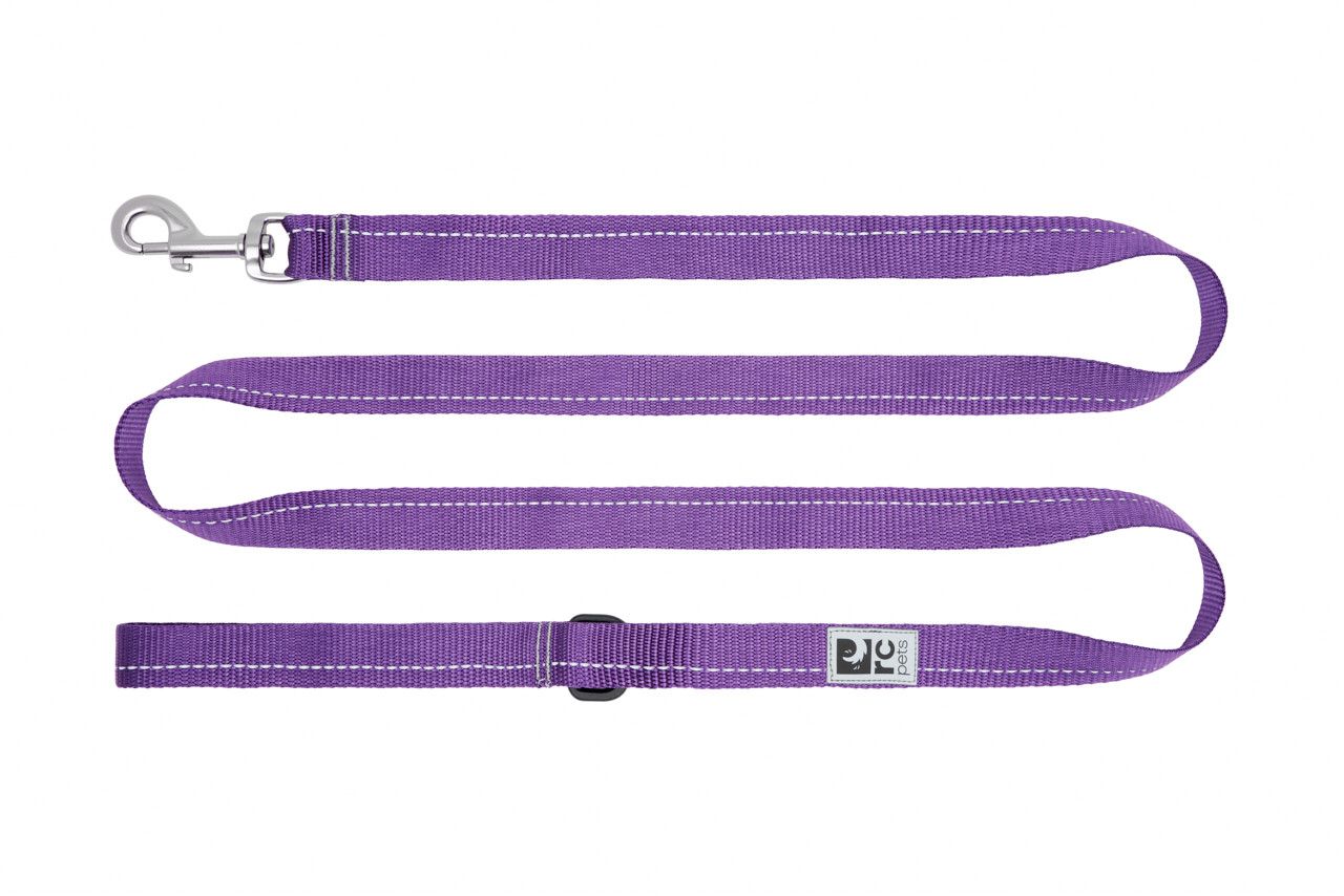 RC Pets - Leash Primary Purple