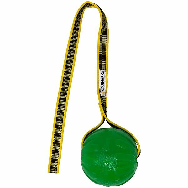 Starmark - GripCord Chew Ball Cord