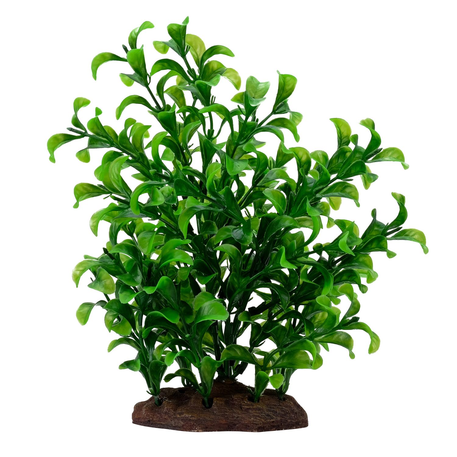 Fluval - Aqualife Plant Scapes Large Bacopa Plant 20cm (8in)