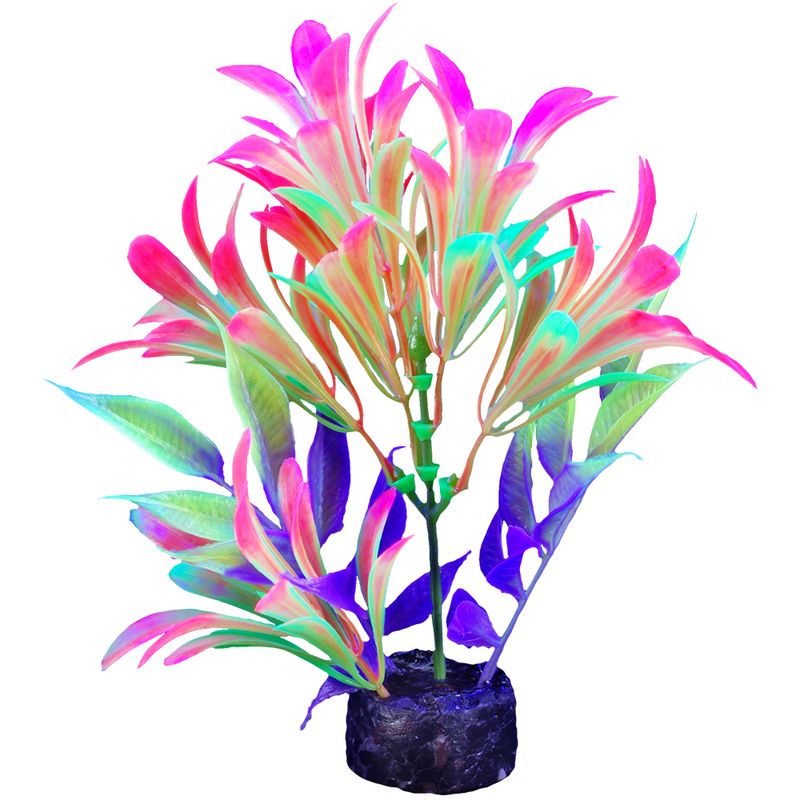 Marina - iGlo Plant-19cm (7.5in)