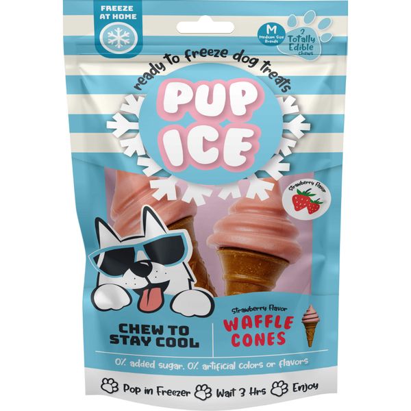 Spot - Pup Ice Waffle Cone Strawberry 2PK
