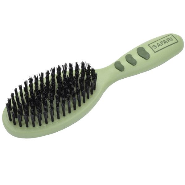 Coastal - Safari Bristle Brush, Size: Small