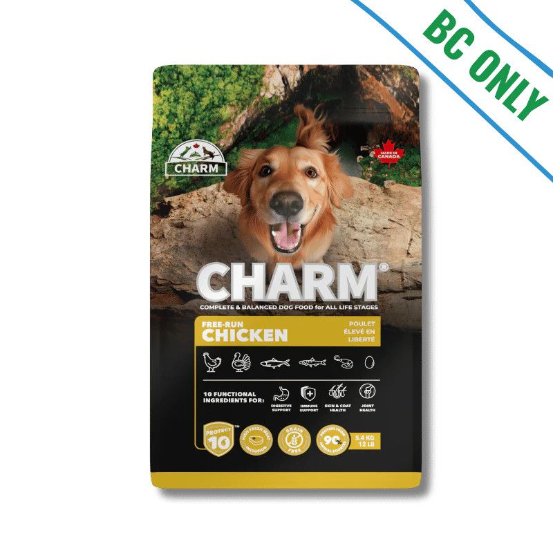 Charm - Free-Run Chicken Dog