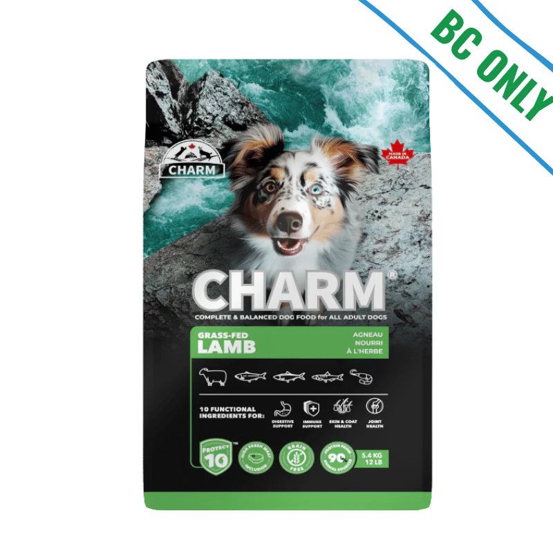 Charm - Grass-Fed Lamb Dog