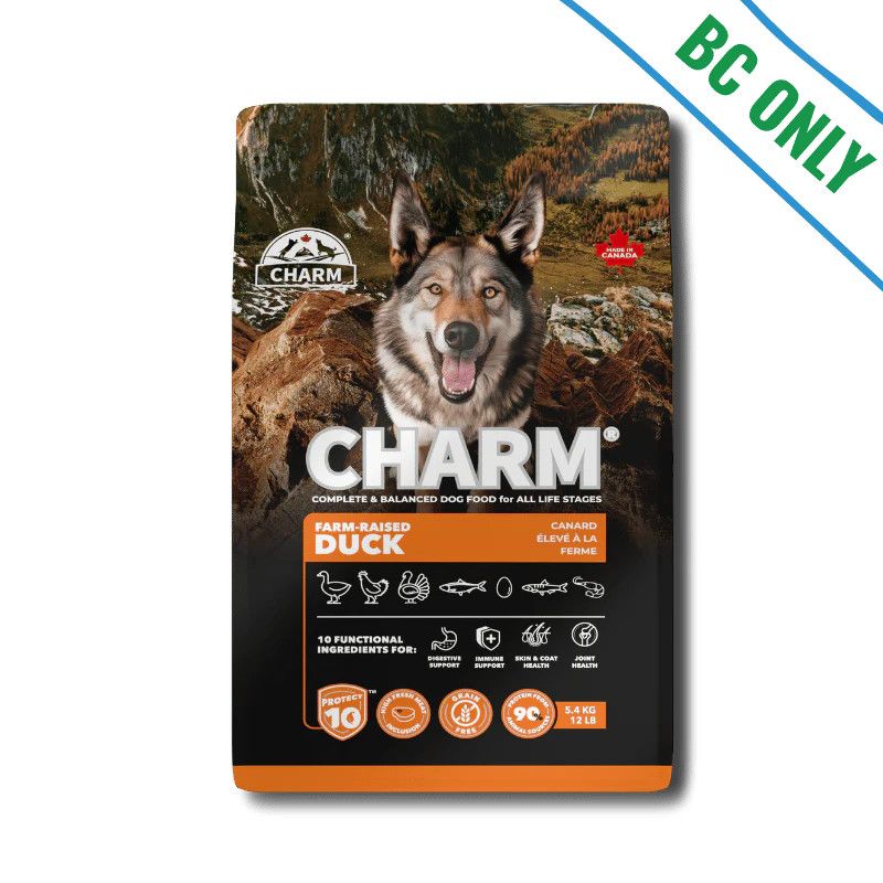 Charm - Farm-Raised Duck Dog