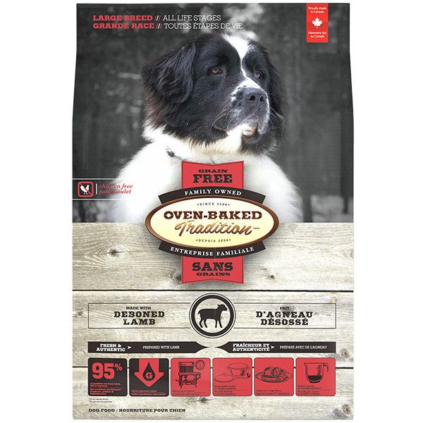 OBT - GF Large Breed Lamb Dog
