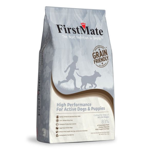 FirstMate - GFriendly High Performance Dog