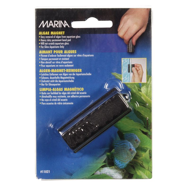 Marina - Small Algae Magnet