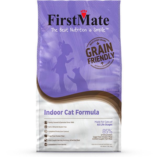 Firstmate - GFriendly Indoor Cat