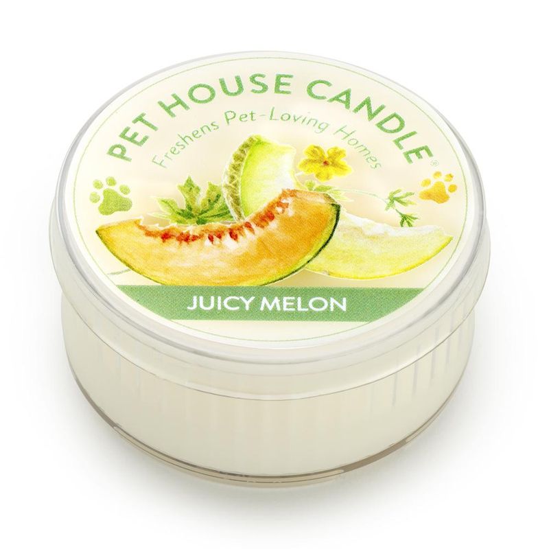 Pet House - Candle Juicy Melon