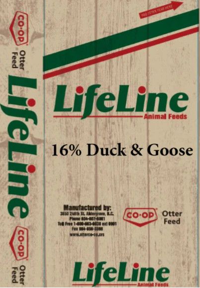 Otter Co-op - 16 % Duck &amp; Goose Pellets 20kg
