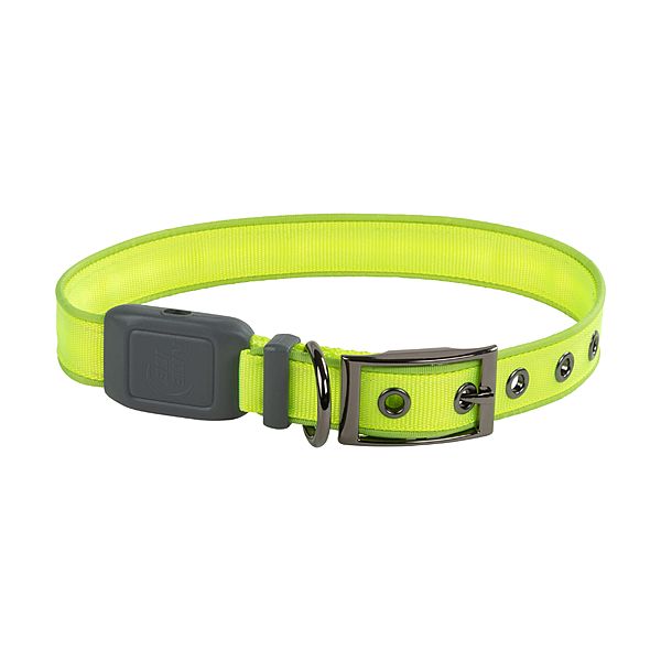 Nite Ize - NiteDog Rechargeable LED Collar Lime Medium 16"- 20"