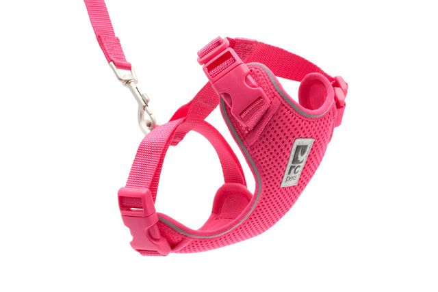 RC Pets - Adventure Kitty Harness Azalea
