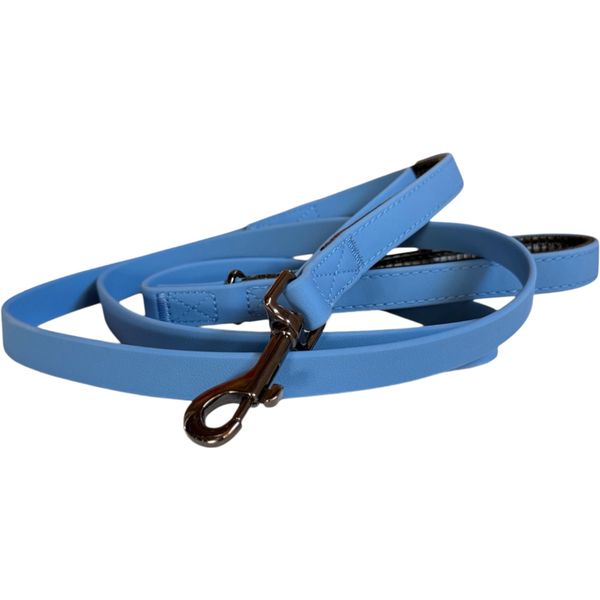 Smellydogz - Double Handle Lead Blue 0.75" 6'