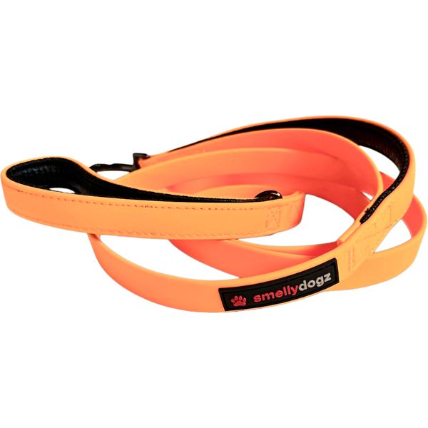 Smellydogz - Double Handle Lead Orange 0.75" 6'
