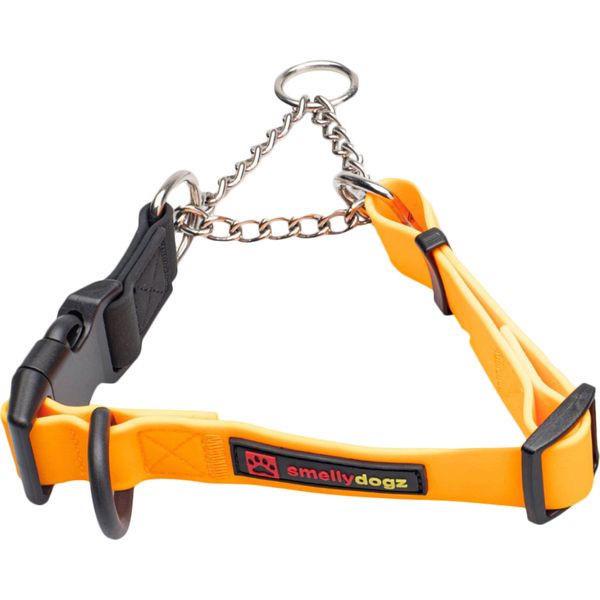 Smellydogz - Martingale Collar Orange