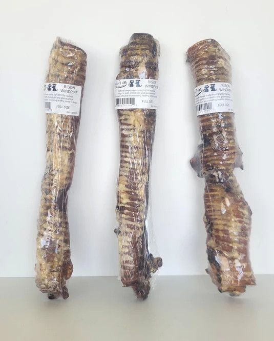 Noah's Ark - Bison Trachea