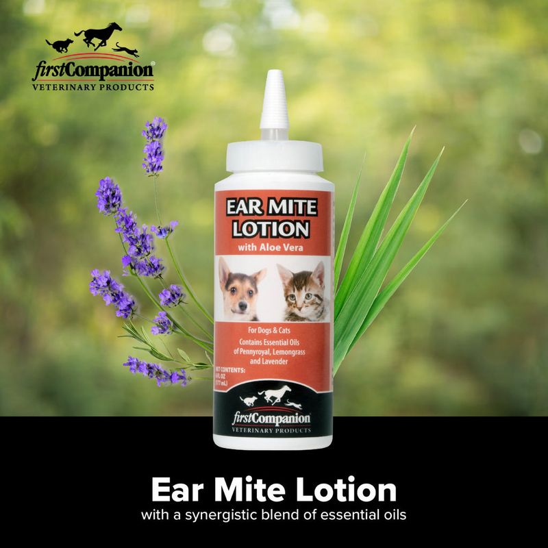 First Companion - Ear Mite Lotion for dogs &amp; cats