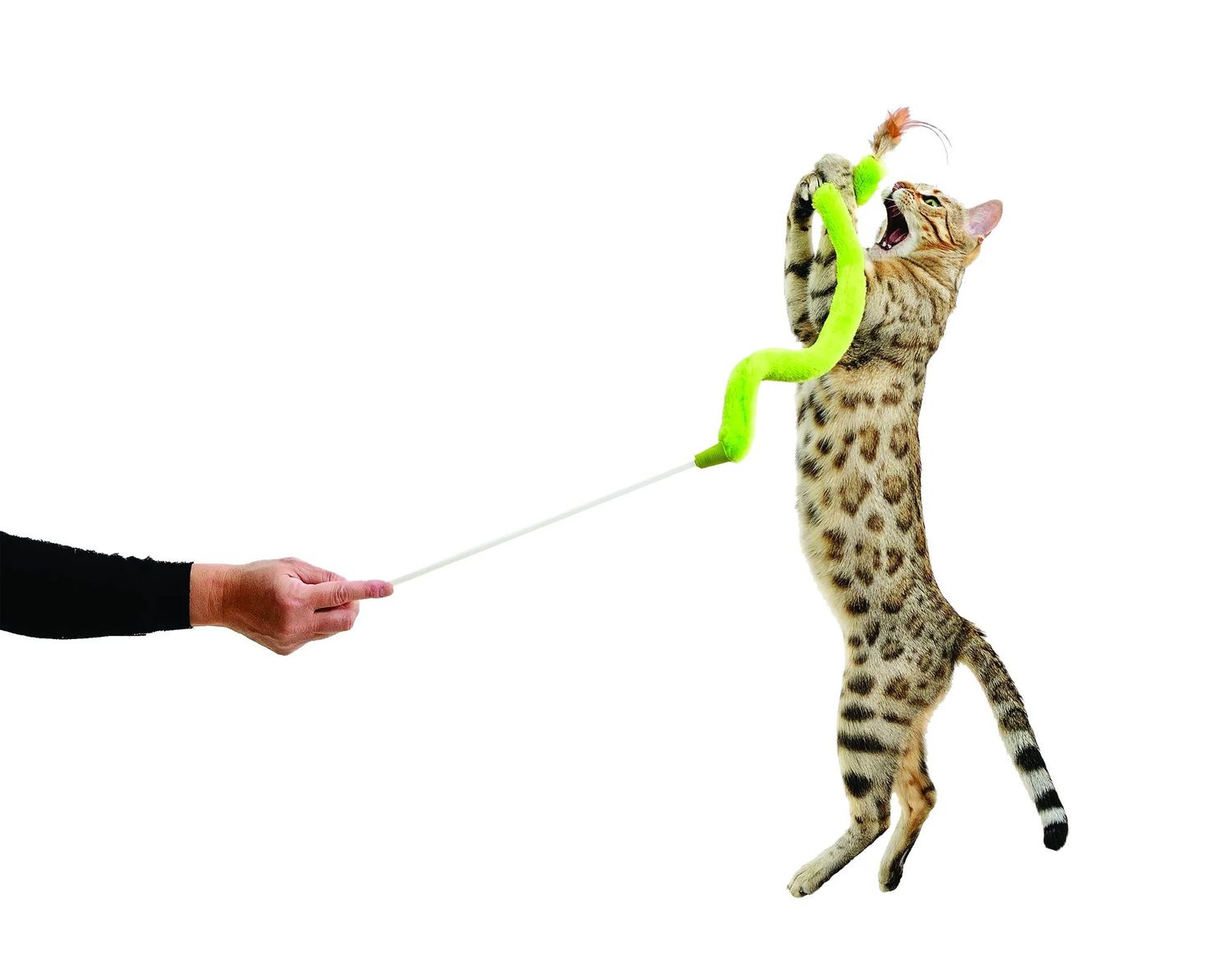 Pet Ki - Green Feather n Fabric Teaser Cat
