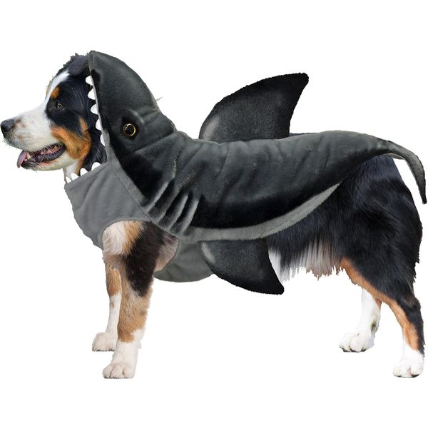 Amazing Pet - Wannabe Shark