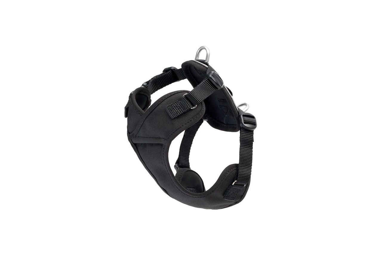RC Pets - Petite Explorer Harness Black