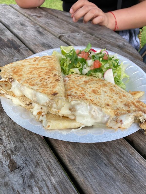 Tori’s special chicken quesadilla