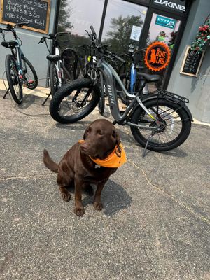 AVENTON eBikes - ALL AVENTON eBIKES INCLUDE PREP FEE AND FREE (UP TO) 60 DAY TUNE UP!