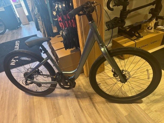 Vida Low Step Regular Silver Pine