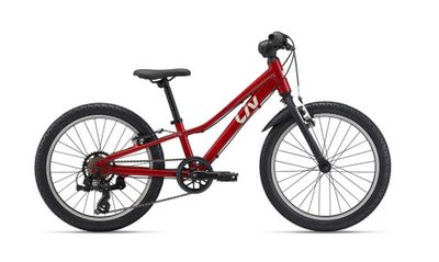 Tempt 20 Lite Dried Chilli