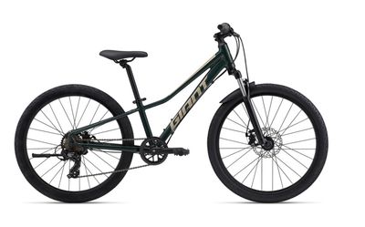 Talon 24 Disc Trekking Green