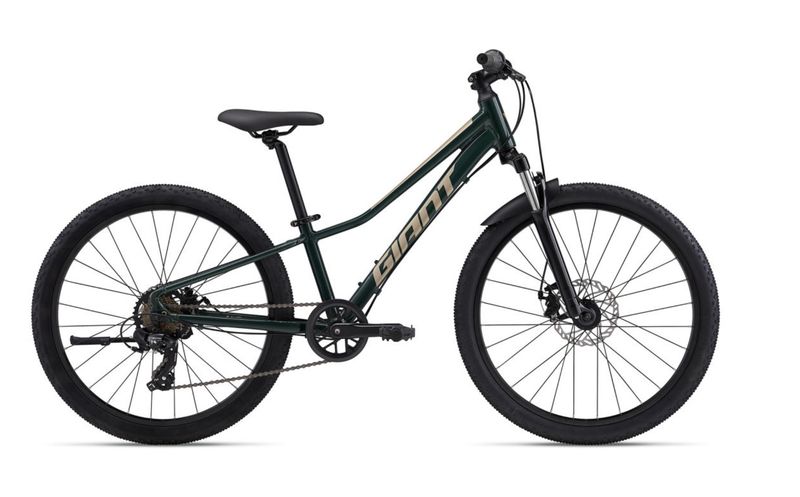 Talon 24 Disc Trekking Green