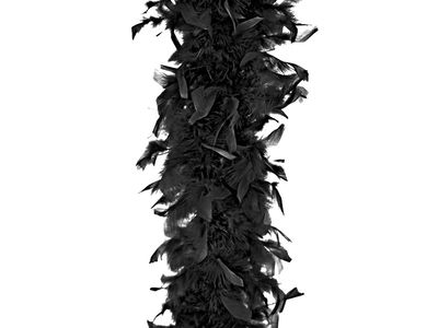 Boa musta, 180cm