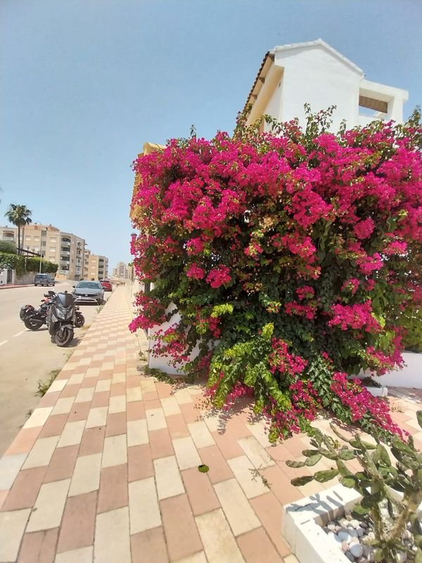 Bungalow Castellon - La Mata