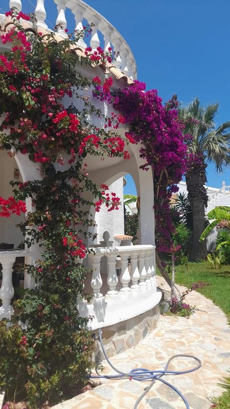 Chalet La Garza - Orihuela Costa- Venta