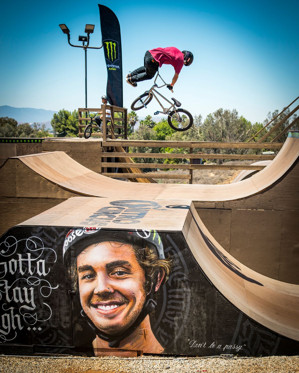 Game Changer 9.5" Titanium Bar