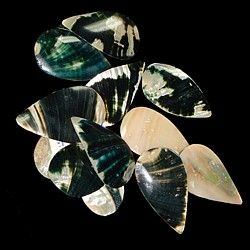 One Abalone Tear Drop approximately 2-inches *****