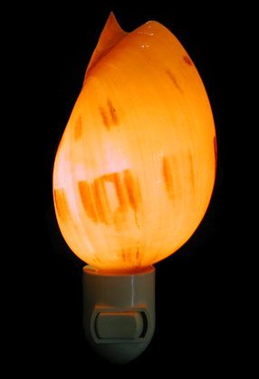 One 4 to 5&quot;  Handcrafted Melon Shell Nite lite