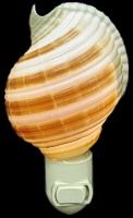 One 4&quot; Handcrafted Selacosa Shell Nite lite