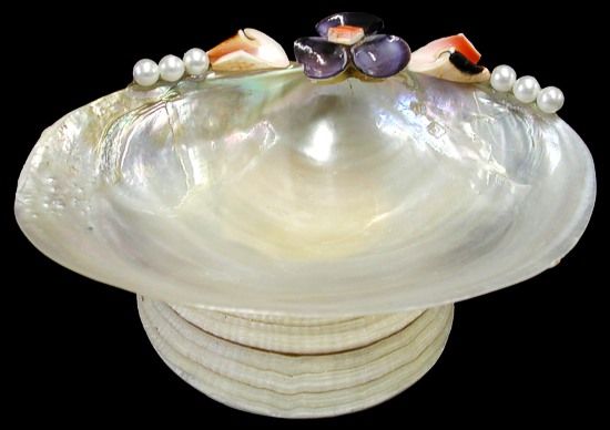 A 3 to 5&quot; Mother Of Pearl Shell Dish