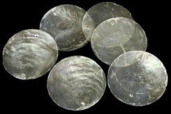One round Capiz shell with a single hole,  measuring 2.5 inches in diameter*******