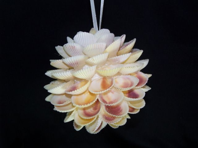 A  2&quot; Cockle Shell Ball  OUT OF STOC