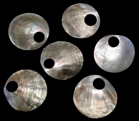 One 1 1/2 inch  black lip Oyster shell with a 1/2 inch cut hole *****