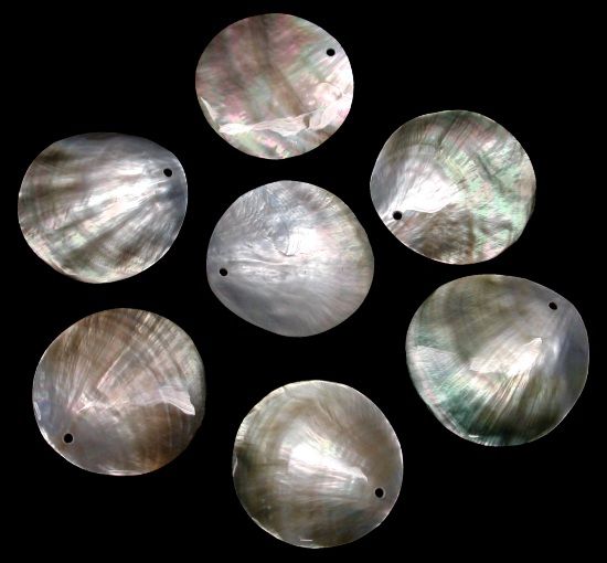 One 1 inch black lip oyster shells with a drilled hole  *****