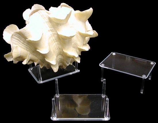 One four-prong display stands measuring*****