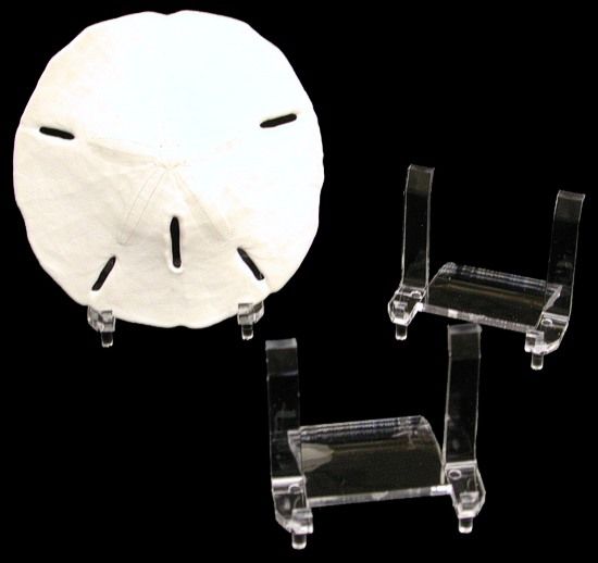 One sand Dollar Display Stand, measuring 2 x 2 inches.*****