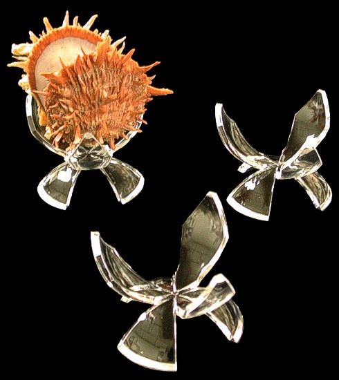 One three-prong display stands  measuring 2 1/2 inches.*****
