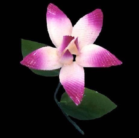 One Cut Clam Shell Flower Stem measuring 10 inches******